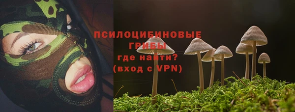 прущие грибы Покачи