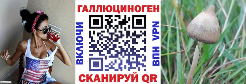 купить наркоту Тавда Псилоцибиновые грибы ЛСД
