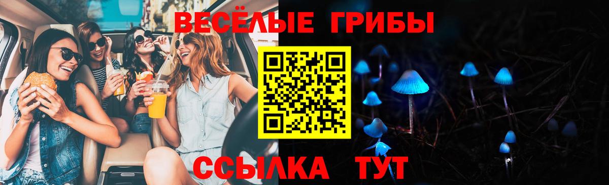 Тавда  Галлюциногенные грибы мицелий  Вход с VPN 